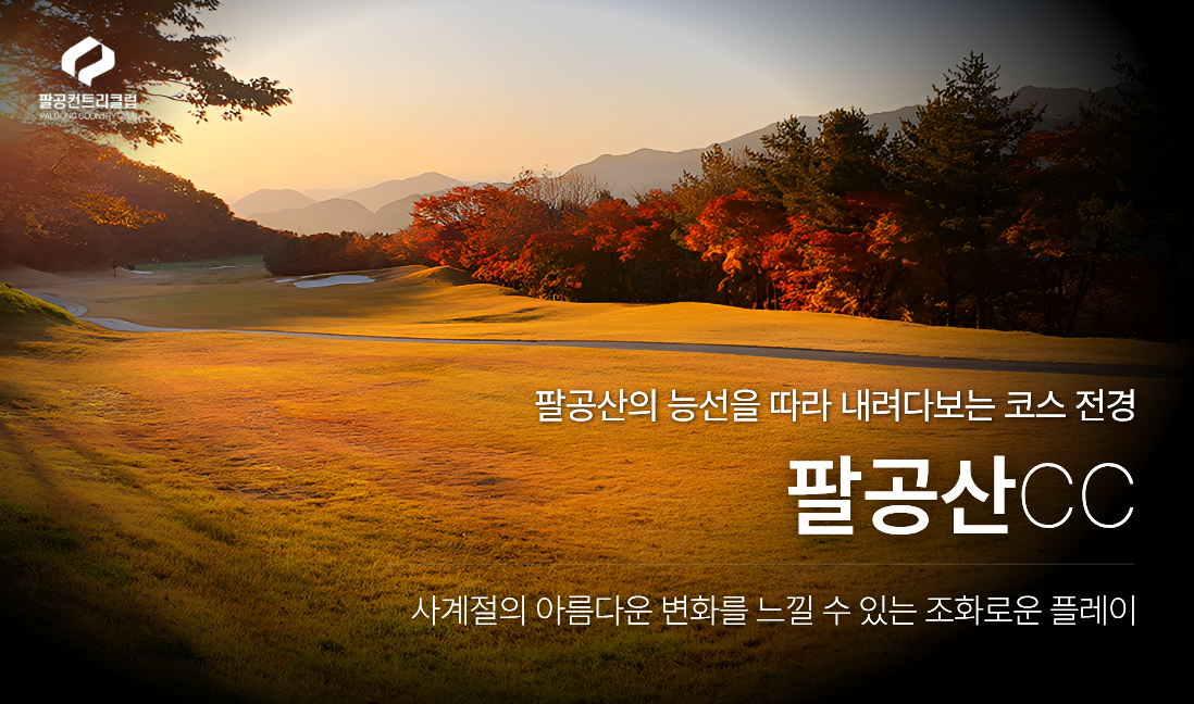 배너800